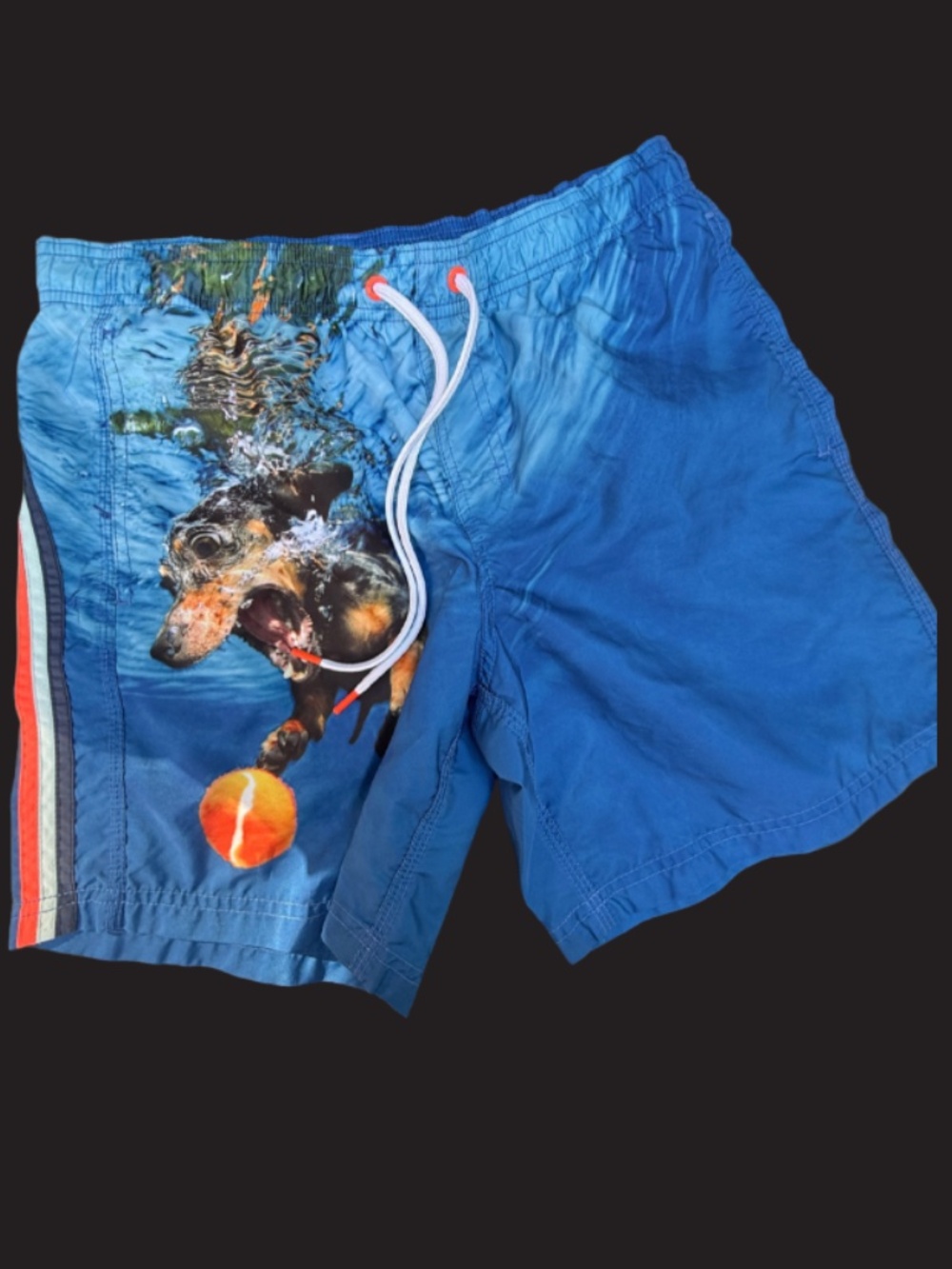 Sundek Blue Dachshund Dog Graphic Swim Trunks Board Shorts  Writing